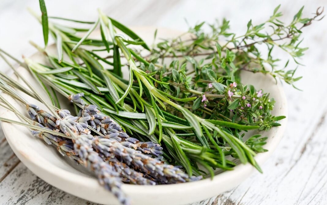 A Guide to Dehydrating Your Summertime Herbs and Greens – One Green Planet