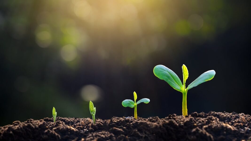 Best Growth ETFS | Bank Rates  