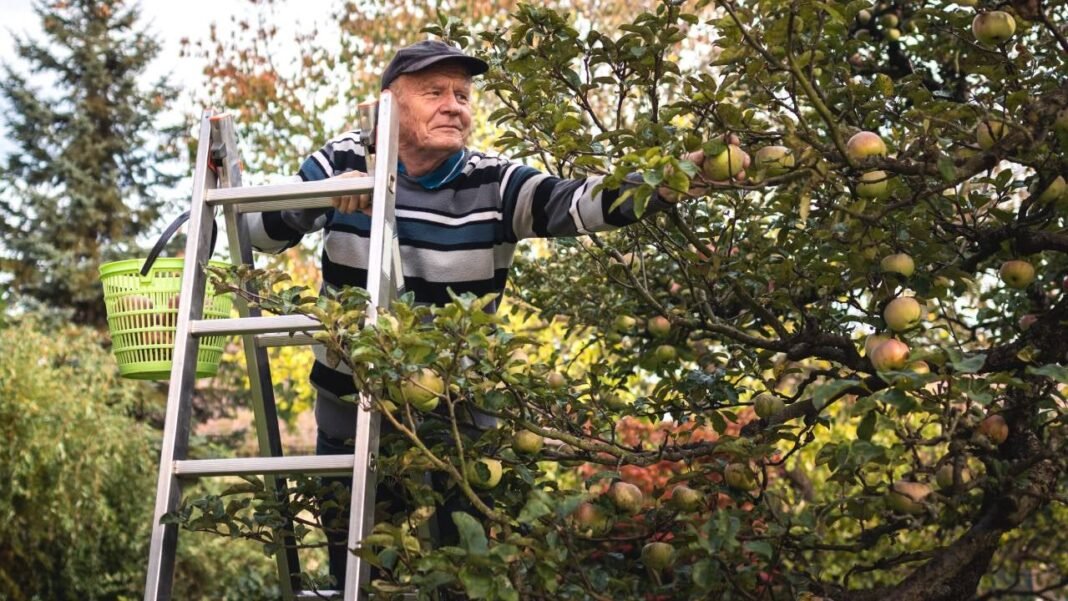 How-to-build-a-bond-ladder-and-the-best-brokers-to-help-you-do-it-2.jpg How to Make a Bond Ladder - and the Best Brokers That Help You Do It