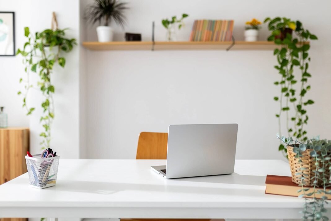 How to start a business without money (here is how I did it)  