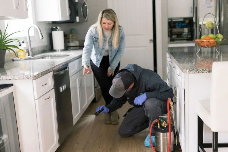 Strategic Pest Prevention for St George Homes