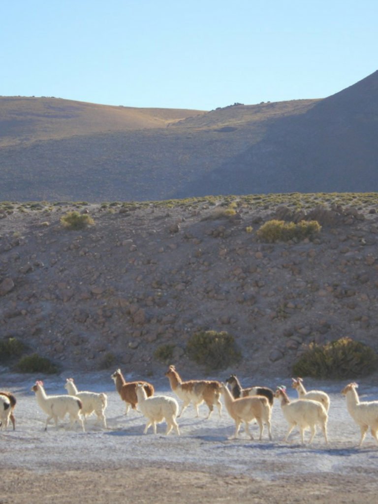Visit the world's most arbitrary places: San Pedro de Takama  