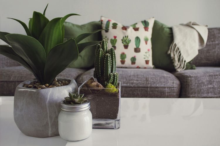 Ways to Make Your Home Feel Brand New Again2