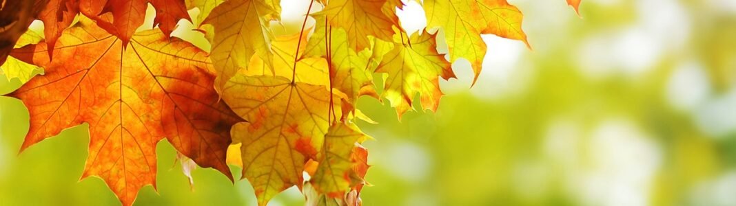 17 Powerful Ways to Celebrate the Autumn Equinox! 