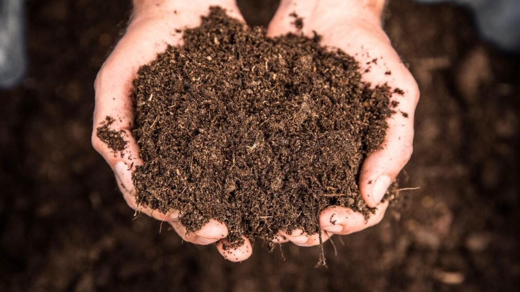 Common soil terms. Close-up of male hands holding fresh, fertile, rich, loose dark brown soil.