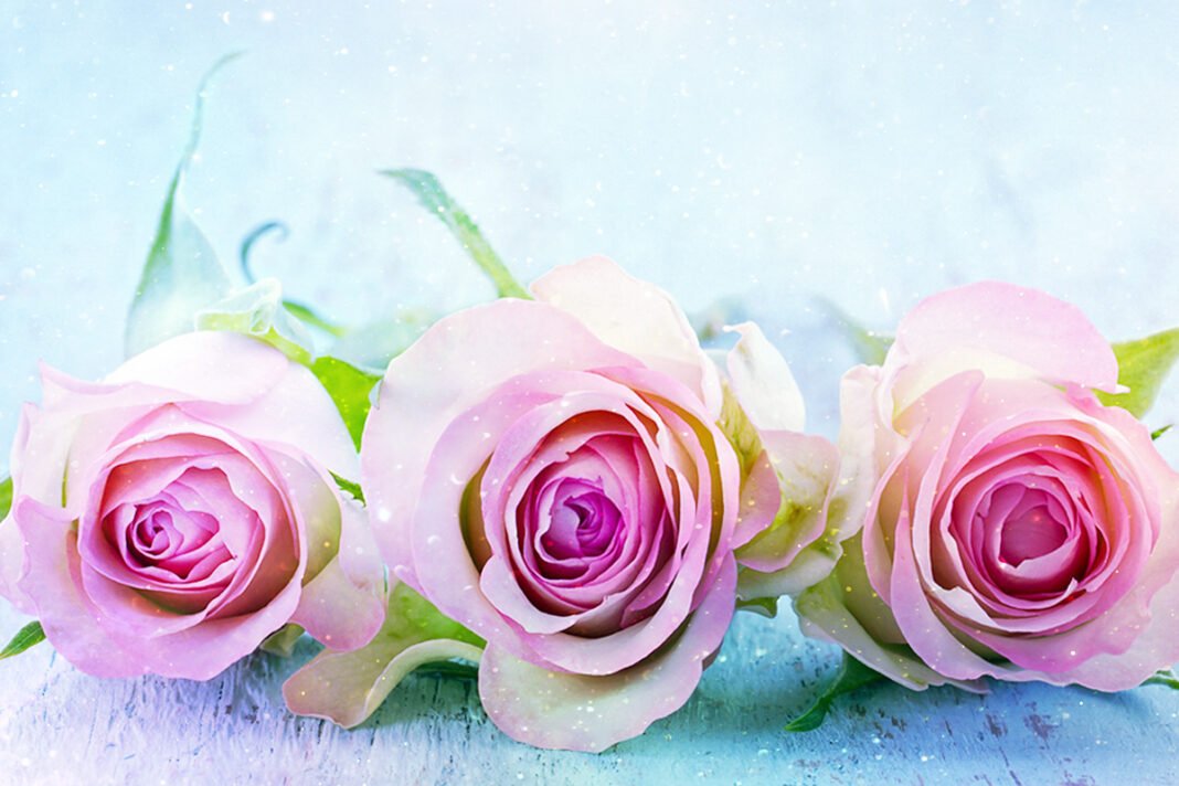 Mother’s Day & The Divine Feminine