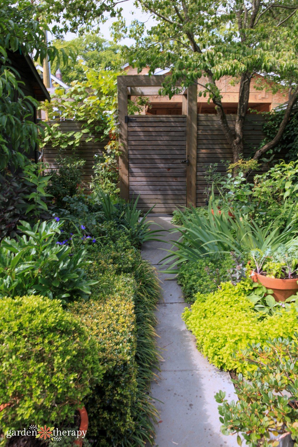 15 August Gardening Tasks to Keep Your Garden Thriving