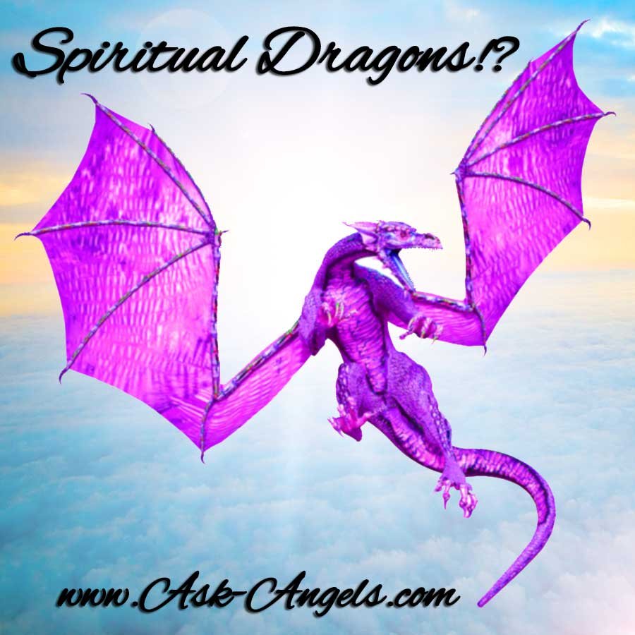 Spiritual Dragons !?