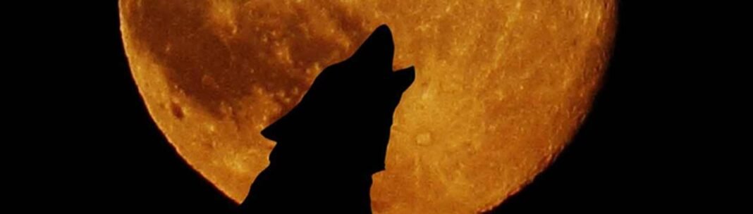 The Spiritual Meaning of the “Wolf Moon”