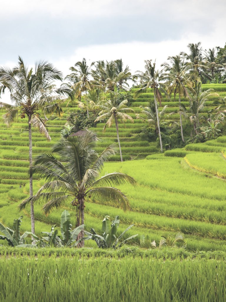 20 Favorite Places in Bali  