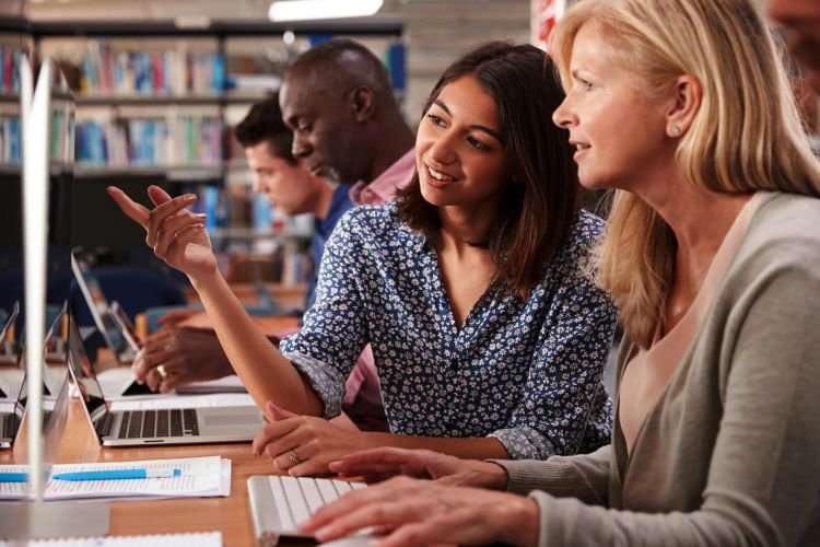How to Choose the Right Dutch Course for Your Needs