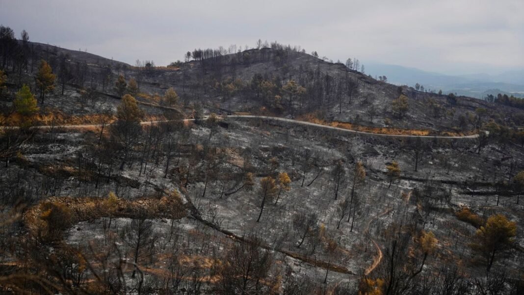 In record temperatures, wildfires are furious in southern Europe  