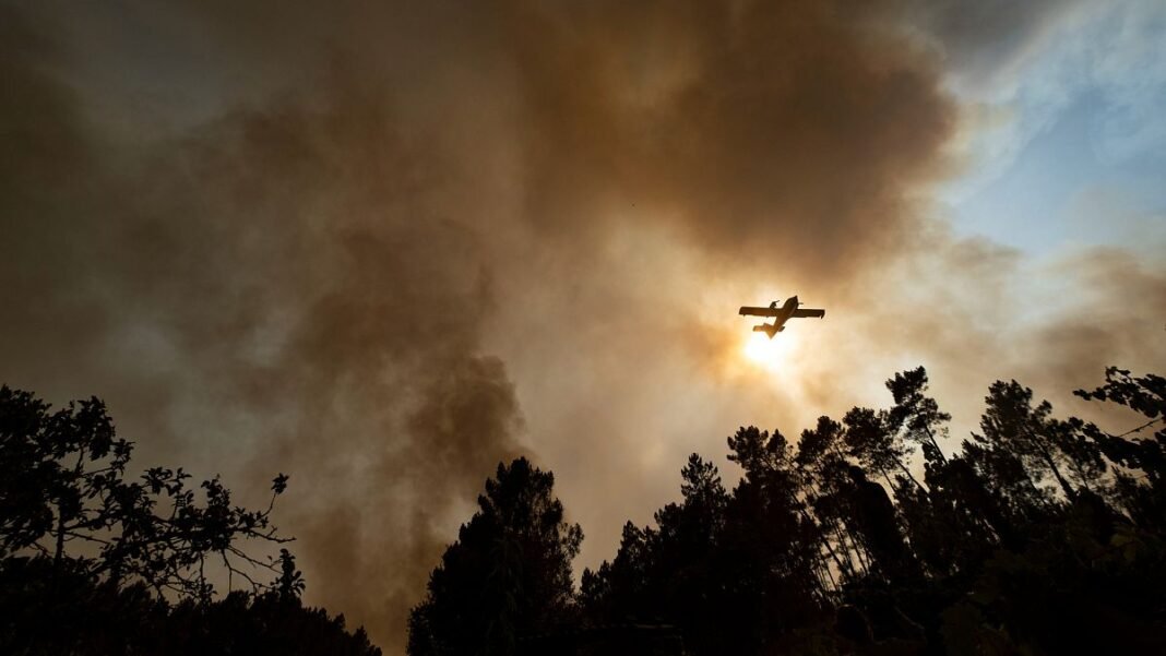 Portuguese government declares high alerts due to high temperatures and fire risk  