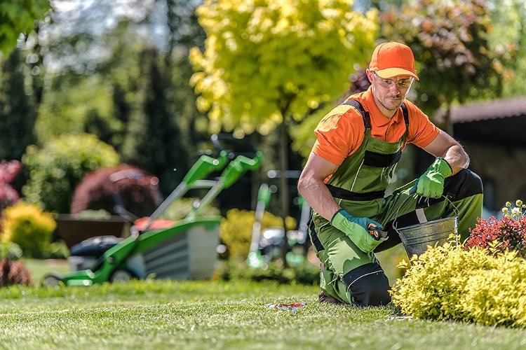 The Benefits of Hiring Professional Garden Maintenance Services in London