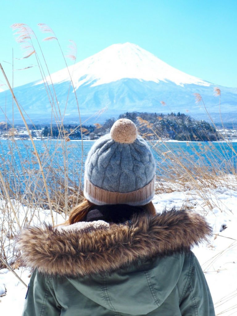 Tokyo Day Trip: Mt. Fuji & Hakon  
