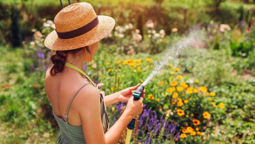 A woman holding a hose to water plants summer, holding it over an area covered in various foliage and blooms that come in different hues