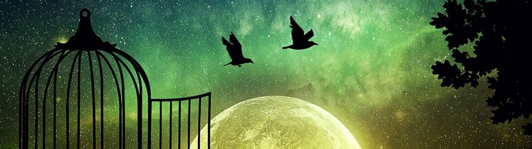 Free Yourself From This HUGE Collective Consciousness Trap