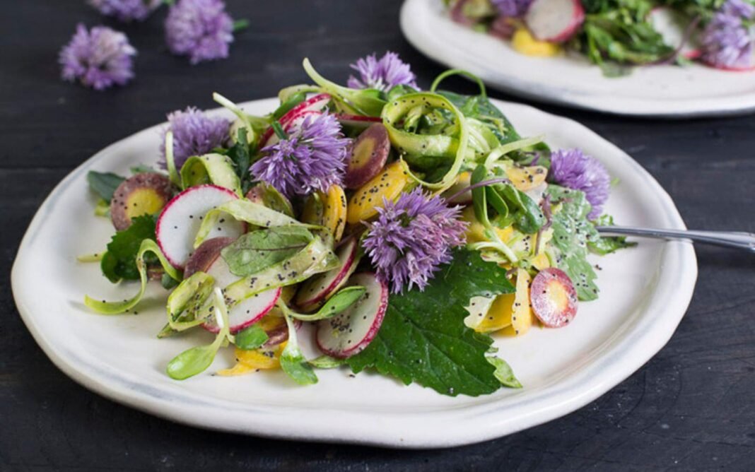 15 Super Light and Refreshing Salads You’ll Love This Summer! – One Green Planet