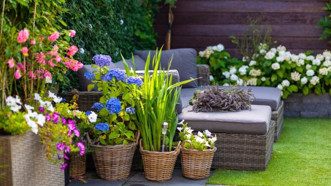 A collection of patio plants smells amazing in wicker baskets, featuring clusters of blue flowers, white blossoms, and tall green grass-like foliage.