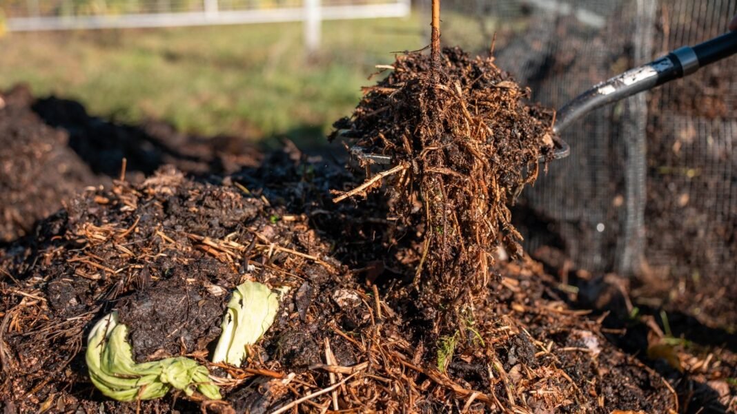 A gardener with a large spade displays perfectly decomposed, dark brown compost with a loose texture over a large garden compost pile.