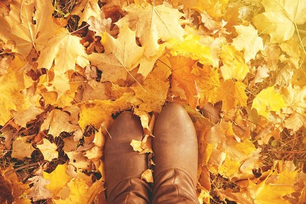 The brown boots of a woman standing in yellow and beautiful fall leaves.