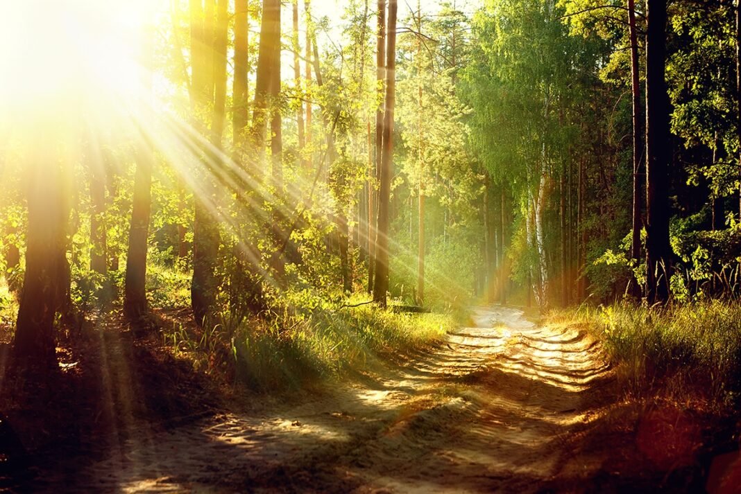15 Ways Being Spiritually Guided Can Enhance Your Life