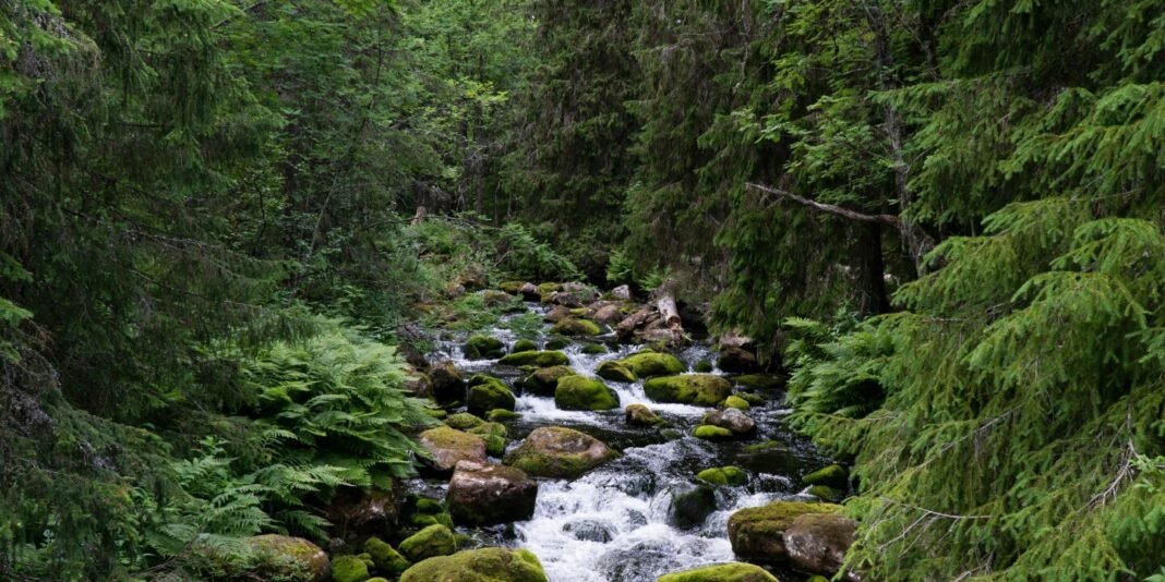 Can a doctor prescribe a trip? - far away  