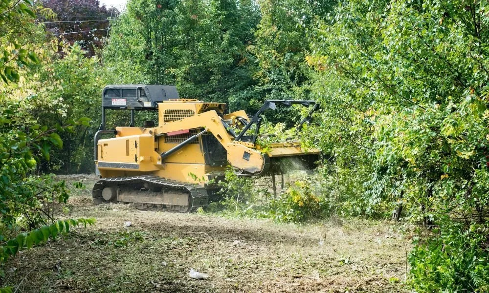 ForestryMulching.webp.webp Transforming Spaces: A Look into Graham Land Clearing Services