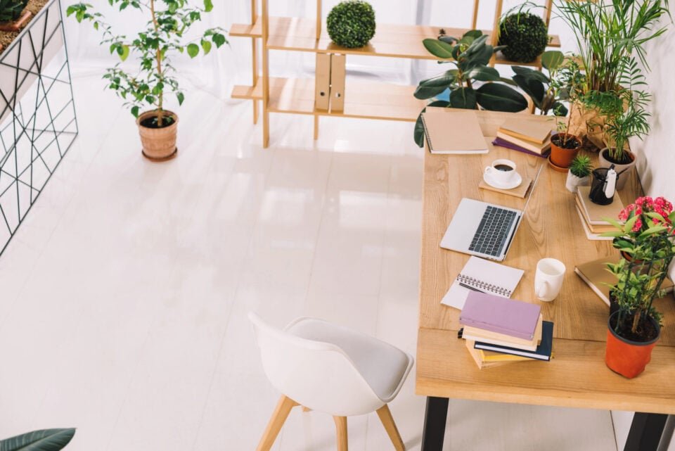 High-angle-view-of-interior-of-business-office-with-plant-scaled-e1758675511848.jpg What I've learned about blogging, money, and freedom