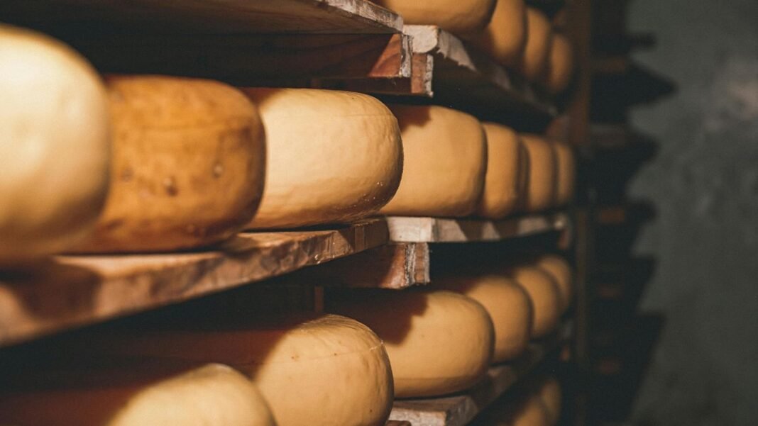 How far do you travel for cheese? Discover the secrets of Europe's best cheese on this epic trip  