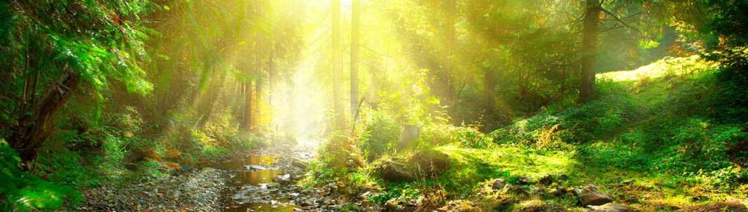 Spiritual Grounding! Grounding the New Energies and Higher Light!