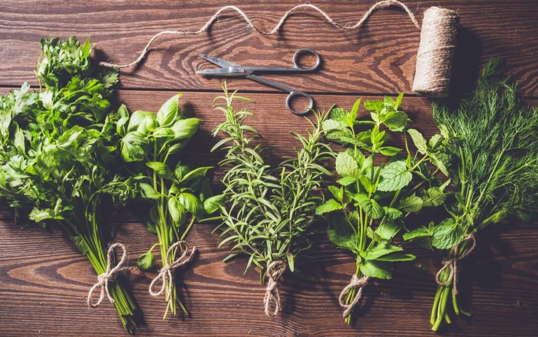 untitled-design.jpg 5 Essential Autumn Herbs for Cozy Cooking! – One Green Planet