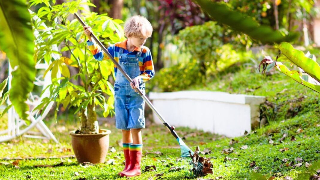 A-child-helping-out-with-october-gardening-zones-3-5.jpg A child helping out with october gardening zones 3-5 appearing to hold a rake to organize leaves in a garden with lovely greens