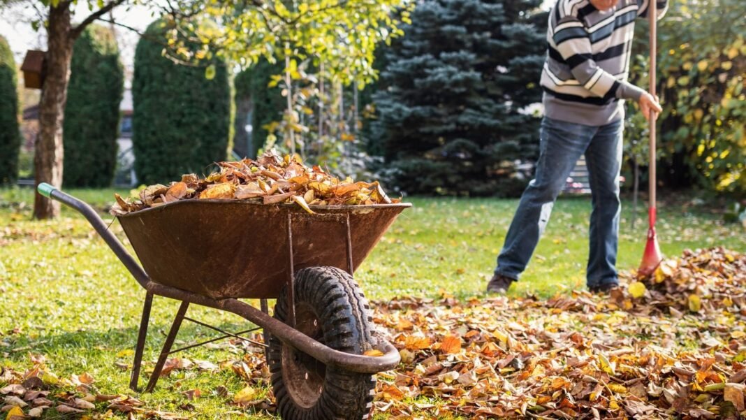 A-close-up-shot-of-a-person-in-the-process-of-raking-fallen-leaves-beside-a-wheelbarrow-filled-with.jpeg A close-up shot of a person in the process of raking fallen leaves, beside a wheelbarrow filled with debris, showcasing fall cleanup mistakes