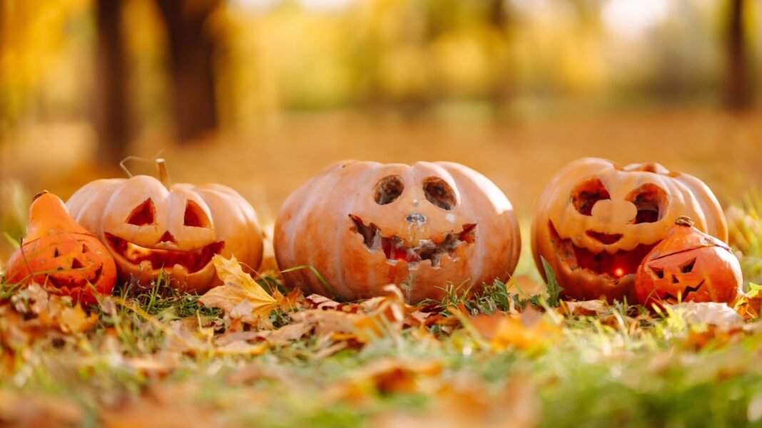 A-close-up-shot-of-a-small-composition-of-carved-crops-depicting-various-faces-all-placed-outdoors-s.jpeg A close-up shot of a small composition of carved crops depicting various faces, all placed outdoors, showcasing pumpkin carving varieties