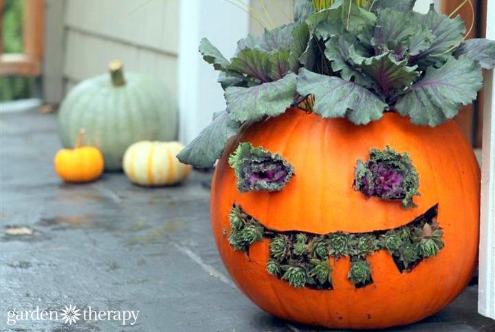 How to Make Pumpkin Planters