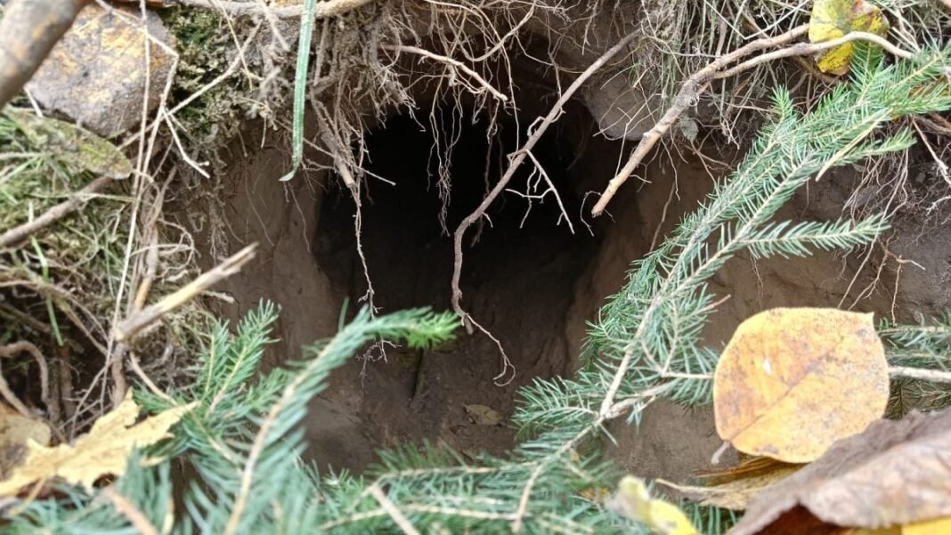 It's not just a case of Poland: What you need to know about the secret migration tunnel system  