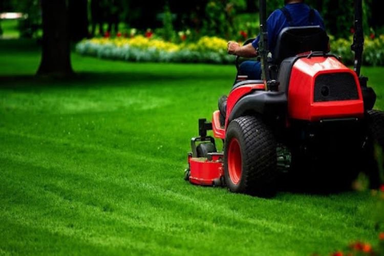 Mr. Lawn Services – Professional Lawn Sod Turf Irrigation and Hardscaping and More