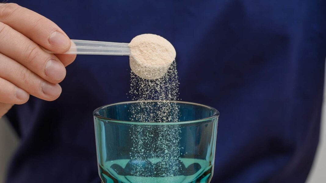 8 Best Creatine Powders to Try for High Performance Workouts and Muscle Building  