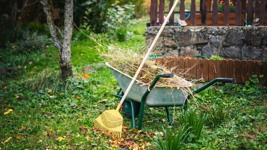 A cart filled with dry branches and leaves stands in an autumn garden beside a garden rake, demonstrating one of the tasks from the October garden checklist.