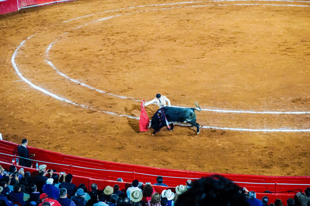 Colombia vs. Spain: Bullfighting Debate  