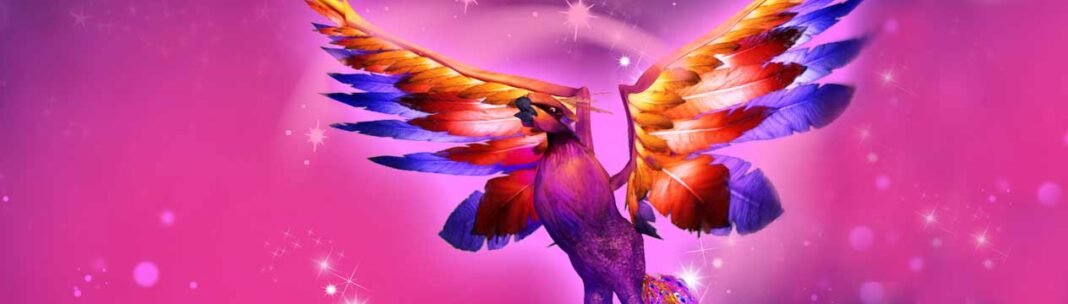 Through The Fires of Transformation We Rise