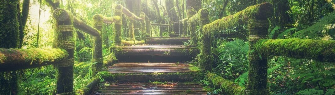 Take It One Step At A Time