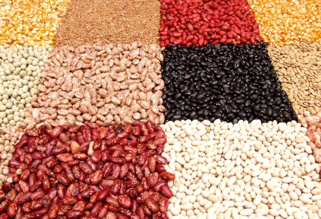 Exploring the High-Protein, Healthy Profile of Legumes with Recipes – One Green Planet