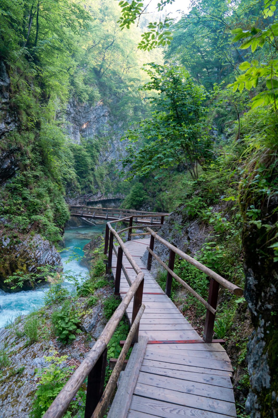 Vintgar Gorge Slovenia 