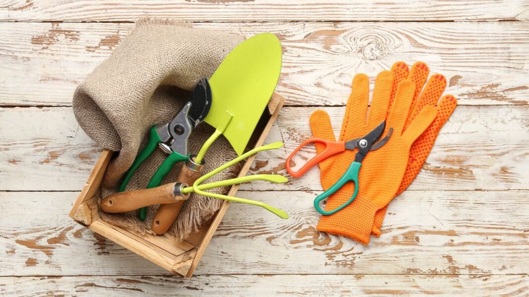 A bunch of tools placed on the wooden surface meant to winterize garden tools placed somewhere with abundant sunlight