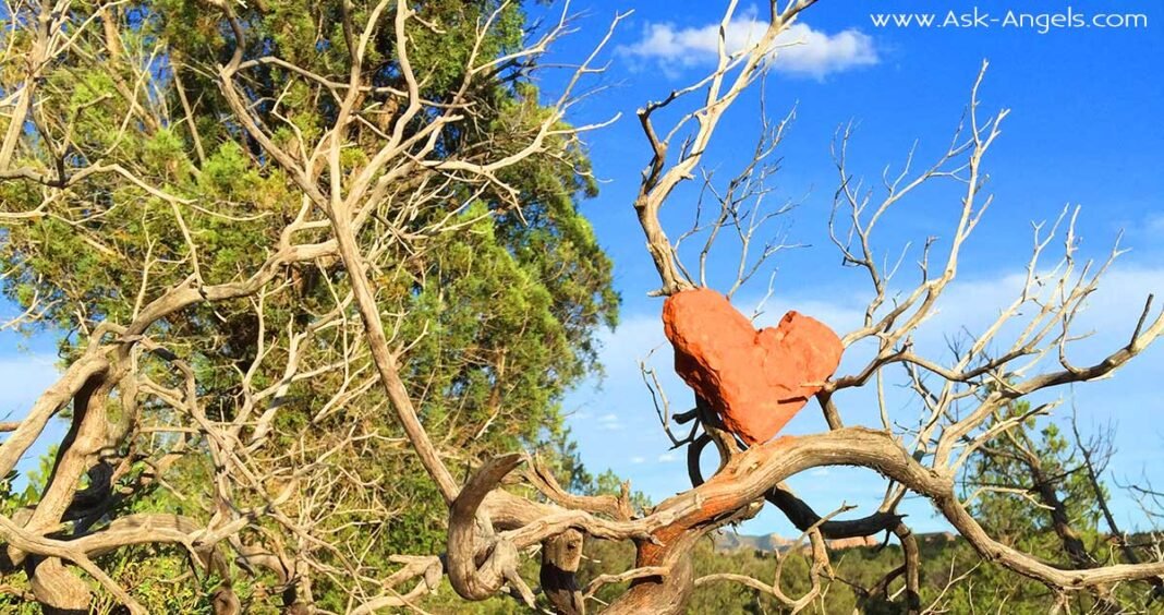 Are You A Healer? 16 Signs You Are!