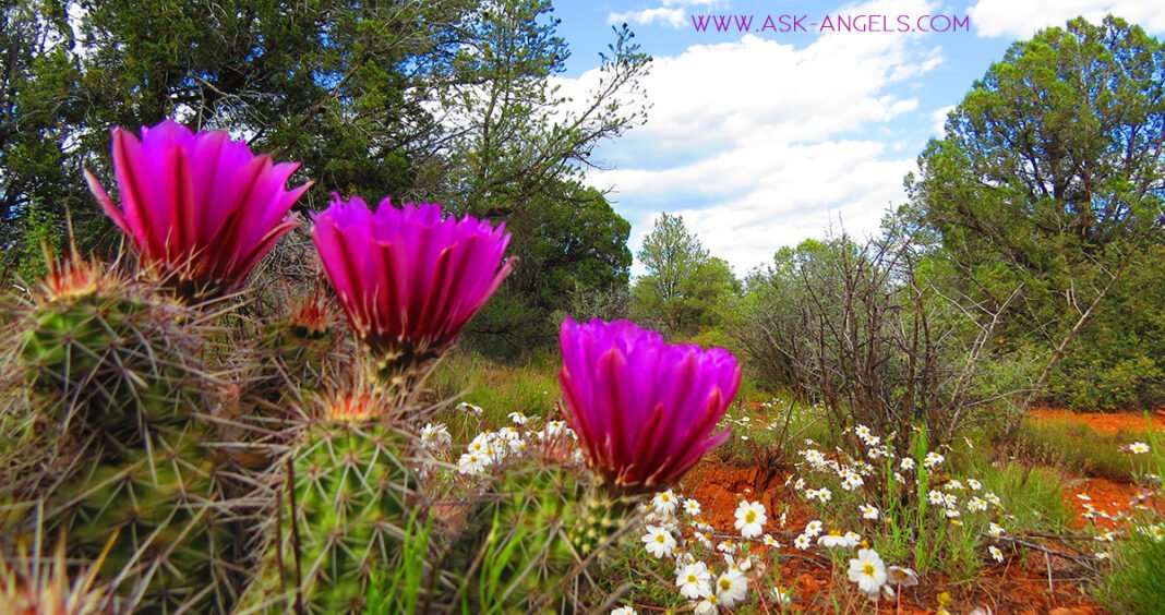 14 Spiritual Awakening Symptoms