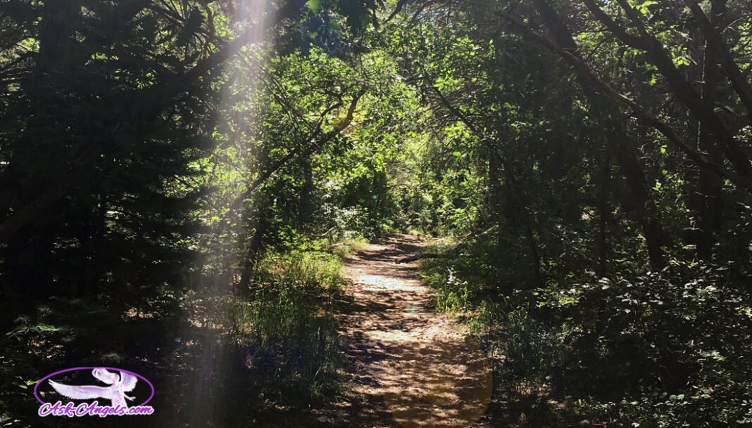 Life Lessons From The Universe