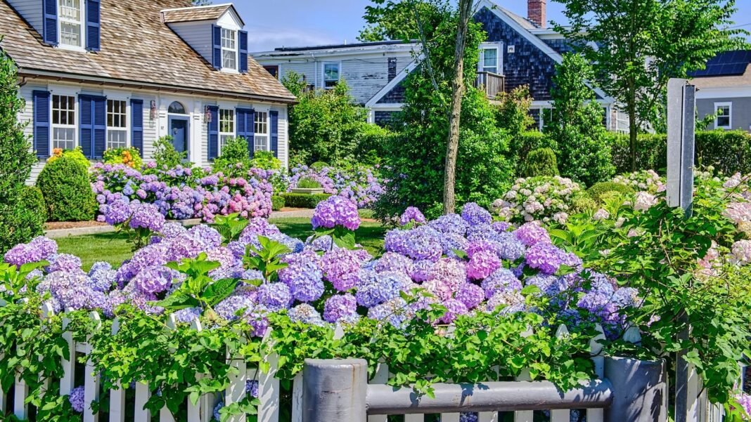 A-shot-of-a-composition-of-jewel-tone-colored-flowers-showcasing-blue-purple-and-pink-hues-placed-on.jpeg A shot of a composition of jewel tone colored flowers, showcasing blue, purple and pink hues, placed on a yard area, showcasing 2026 gardening trends